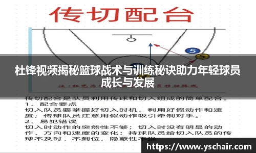 杜锋视频揭秘篮球战术与训练秘诀助力年轻球员成长与发展